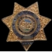 NEVADA HIGHWAY PATROL PIN MINI BADGE PIN